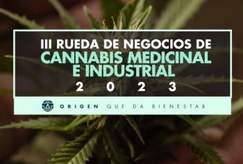 RN CANNABIS MEDICINAL 2023