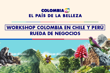 WS CHILE PERÚ